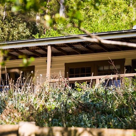 Buttercup Hill Warburton Exterior foto
