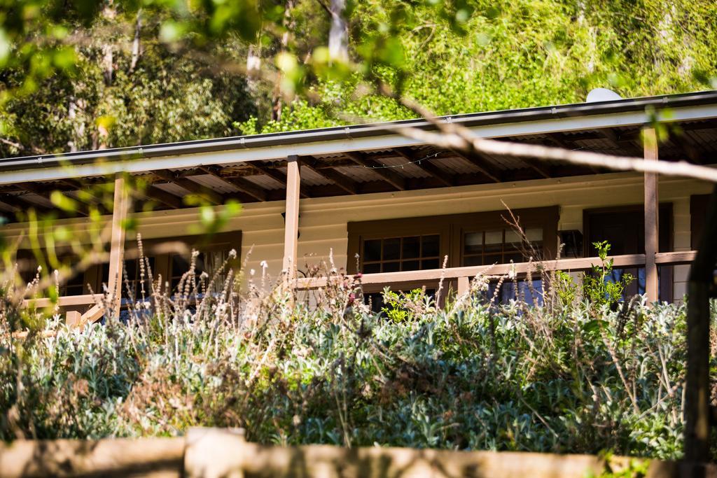 Buttercup Hill Warburton Exterior foto