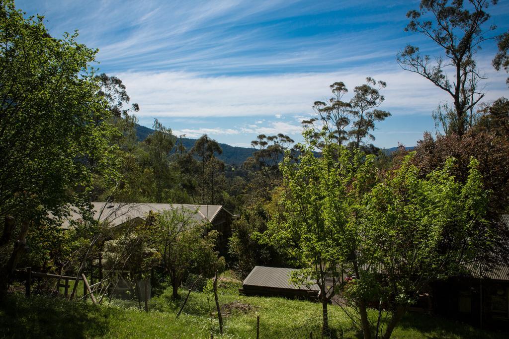 Buttercup Hill Warburton Exterior foto